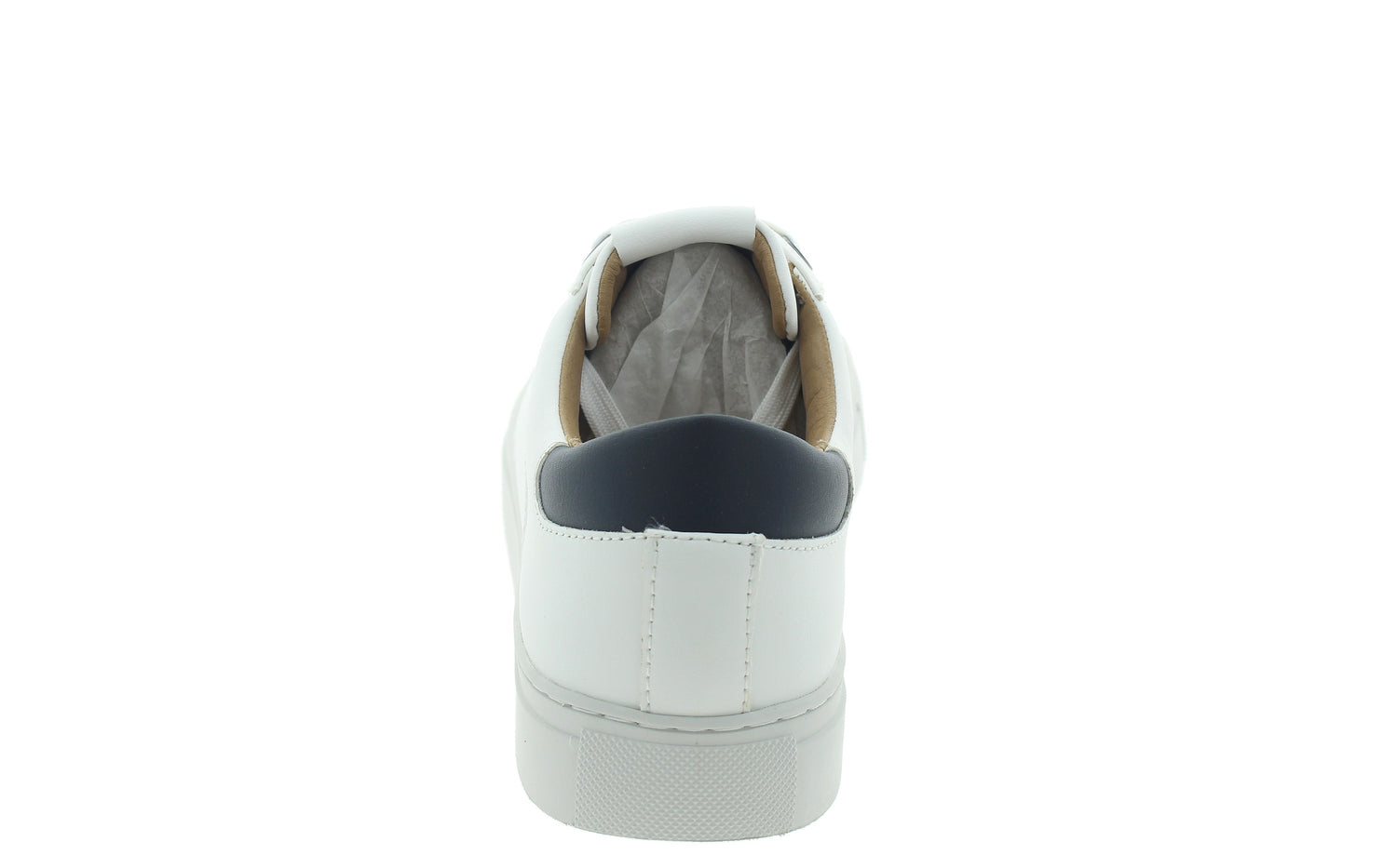 JOE BASIC - View 1