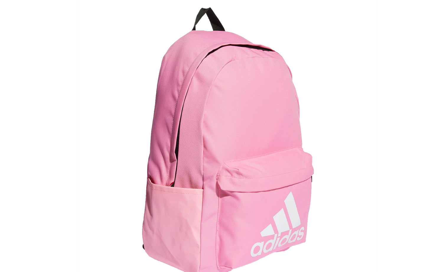 CLSC BOS BP - View 2