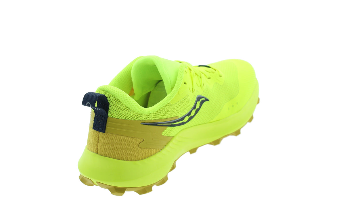 PEREGRINE 14 - View 2