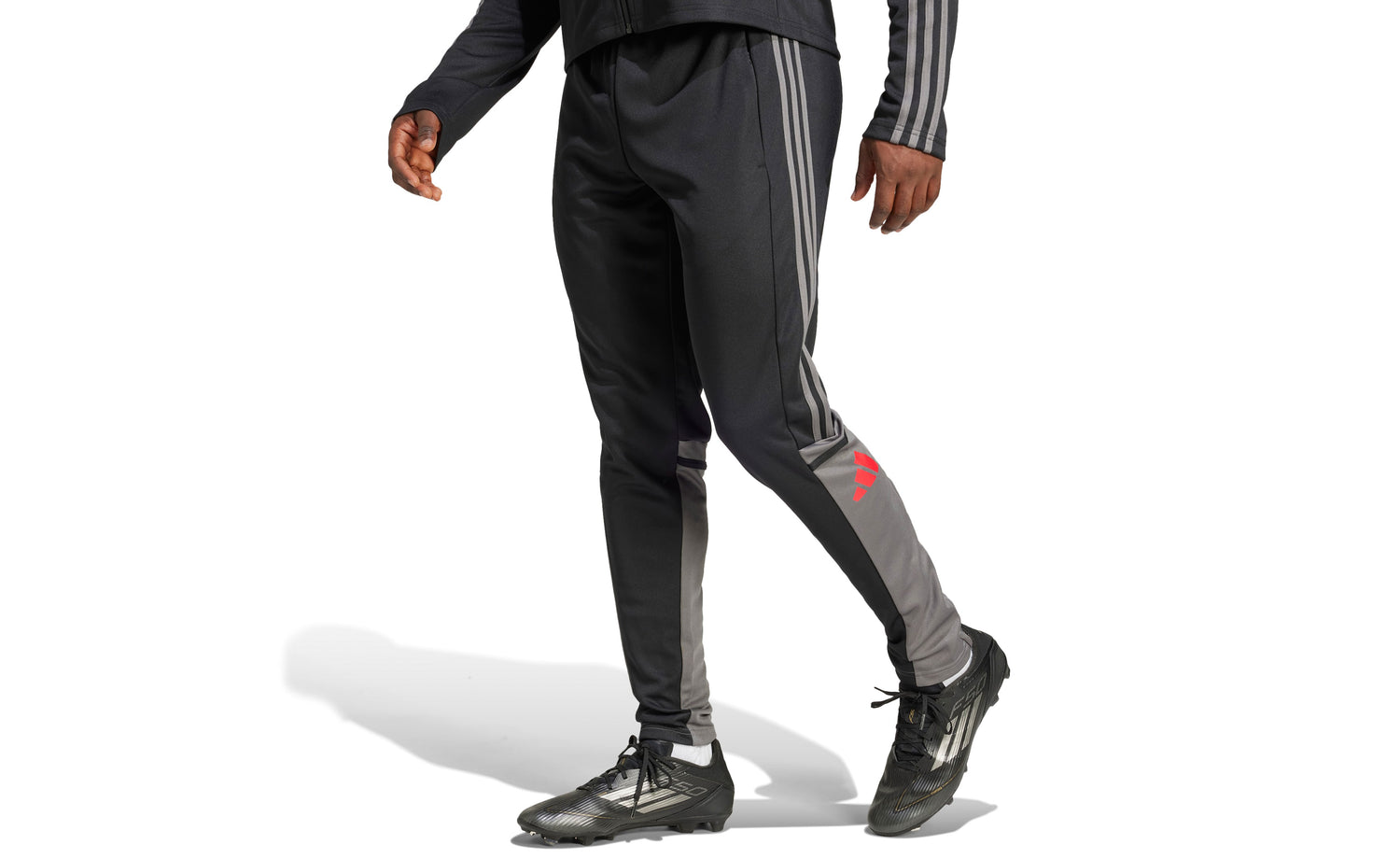 SQ25 TR PNT - View 2