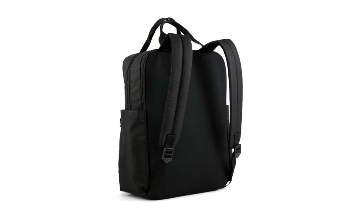 PUMA PHASE COLLEGE - View 2