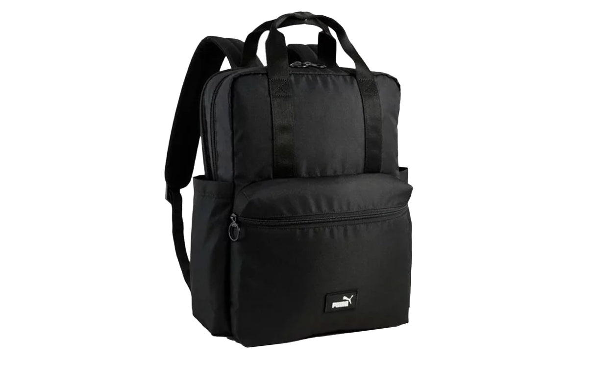 PUMA PHASE COLLEGE - View 1