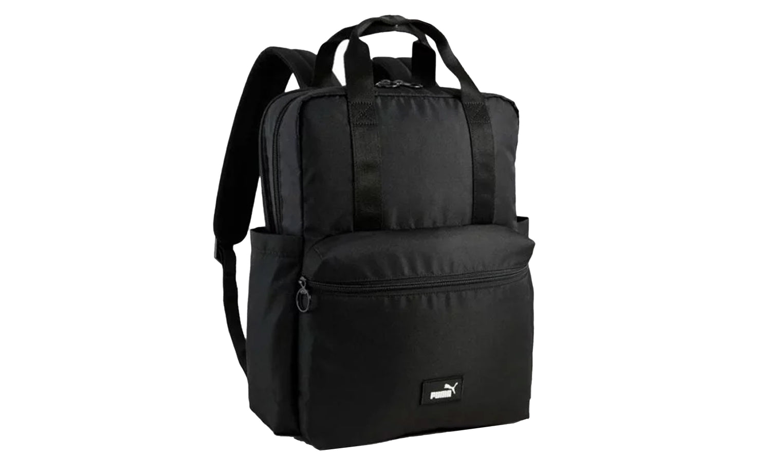 PUMA PHASE COLLEGE - View 1