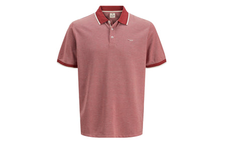 JPRBLUALVES  - View 1