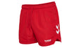 HML LGC NED SWIM SHORTS - View 1