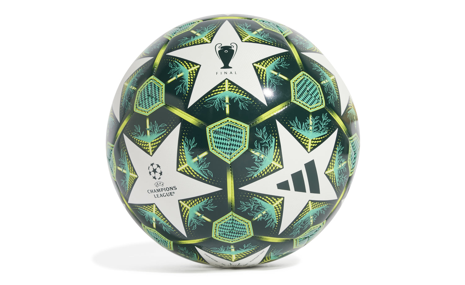 UCL TRN - View 1