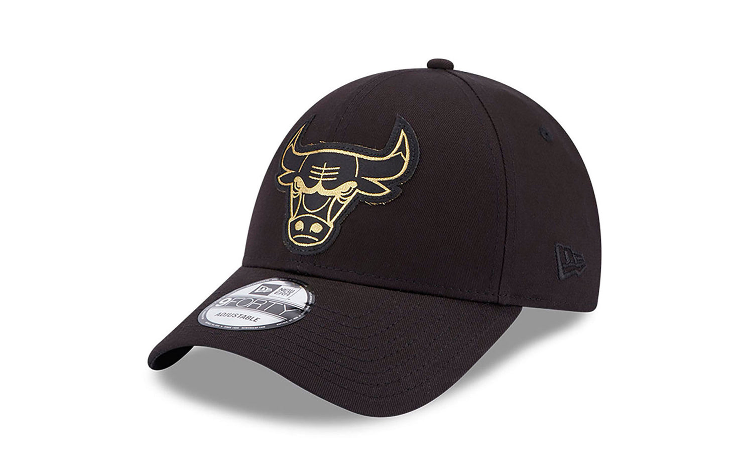 CHICAGO BULLS BLKMTG - View 1