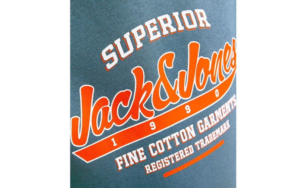 JJELOGO SWEAT HOOD 2 COL 24/25 NOOS JNR - View 3