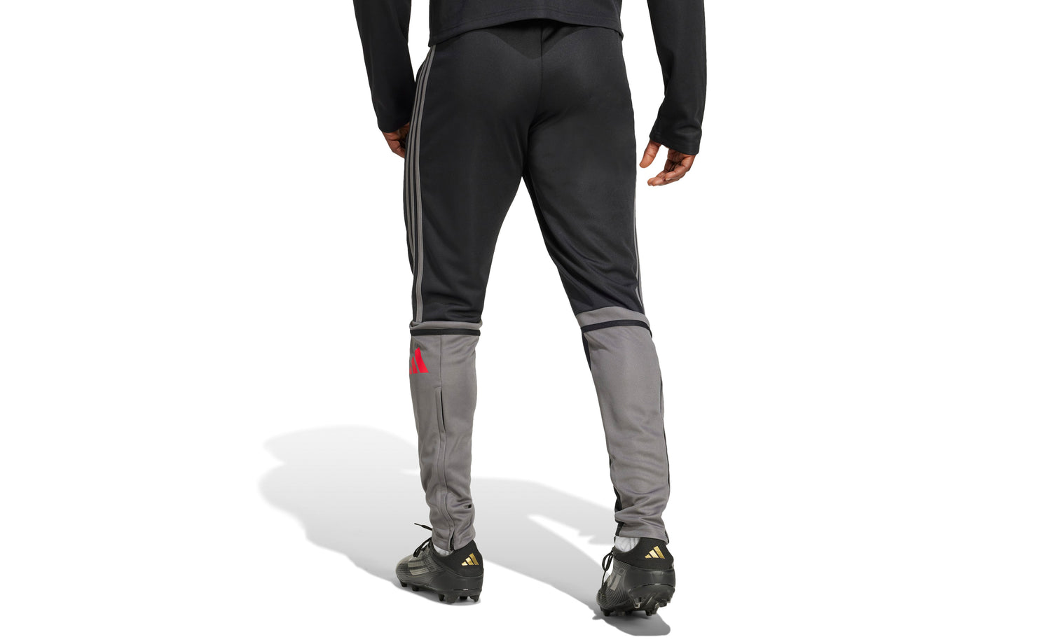 SQ25 TR PNT - View 3