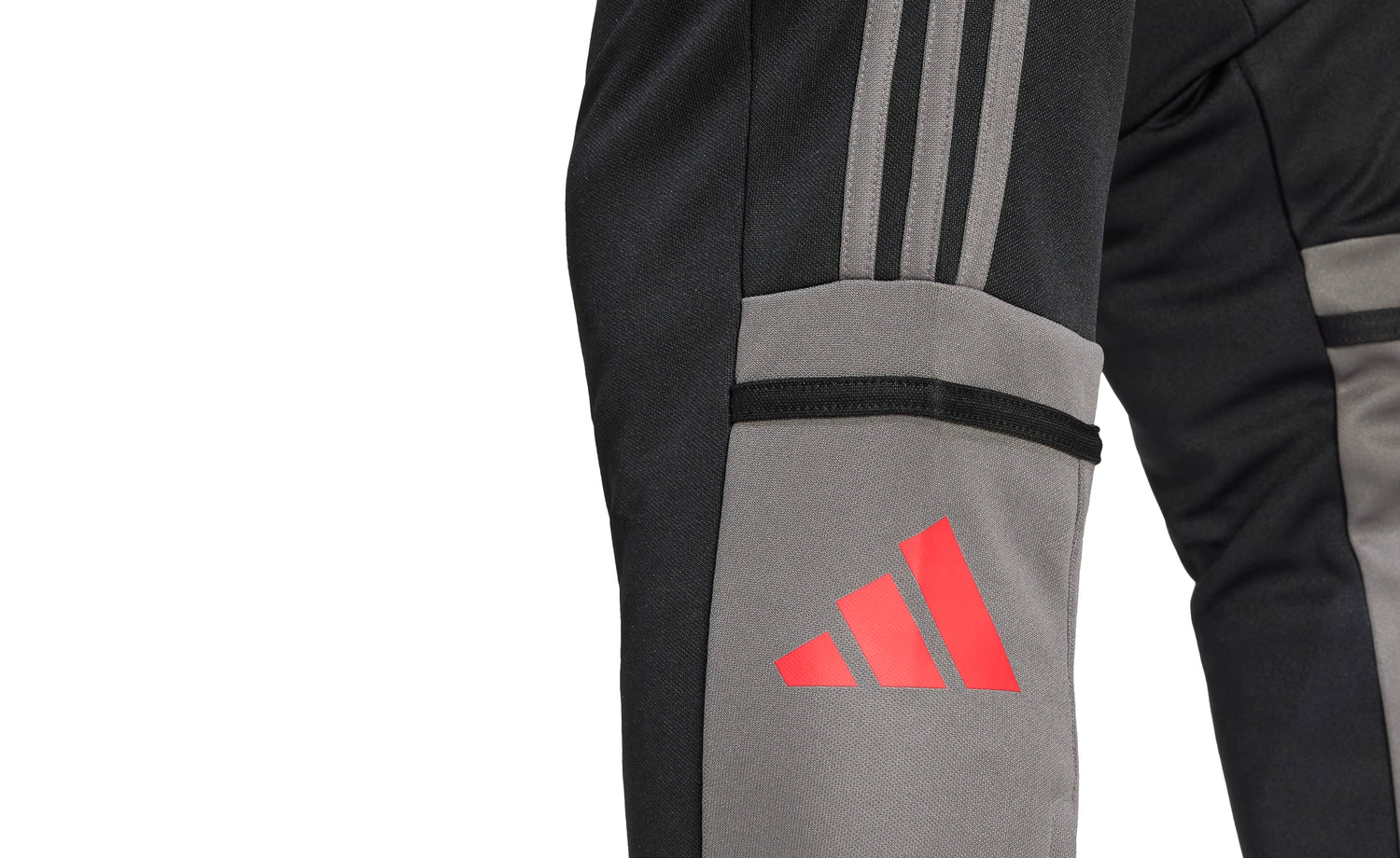 SQ25 TR PNT - View 4