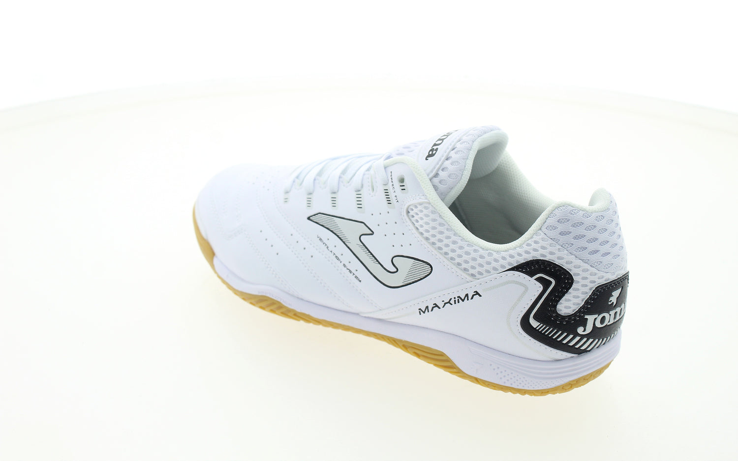 MAXIMA - View 5
