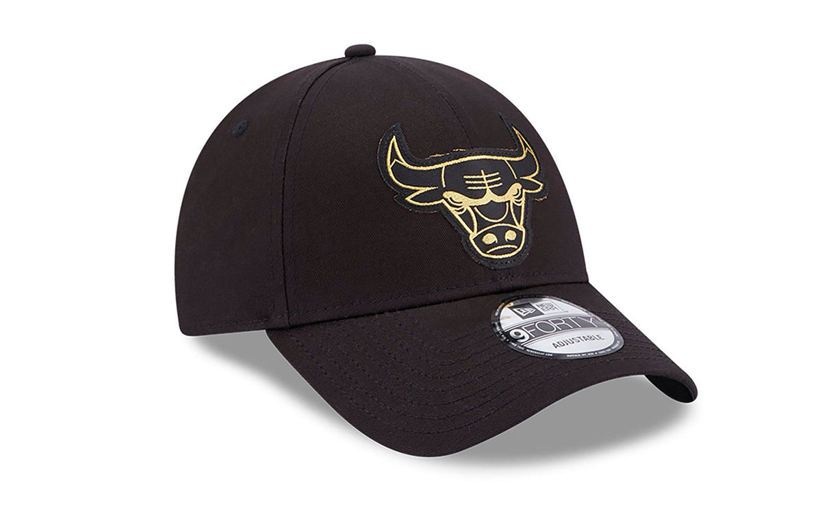 CHICAGO BULLS BLKMTG - View 5