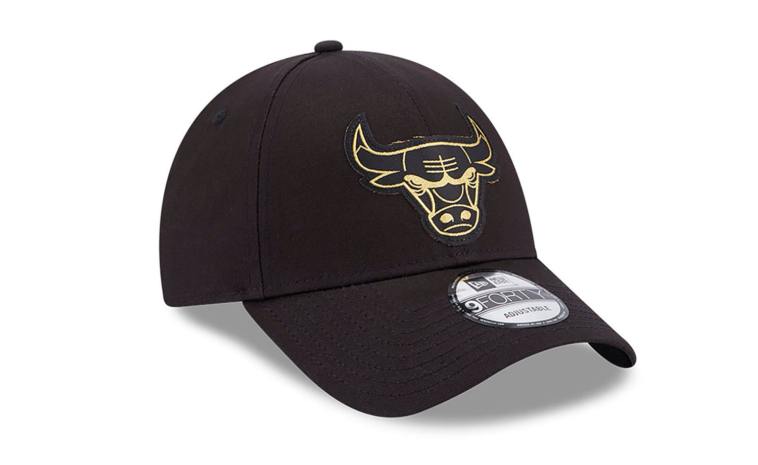 CHICAGO BULLS BLKMTG - View 5