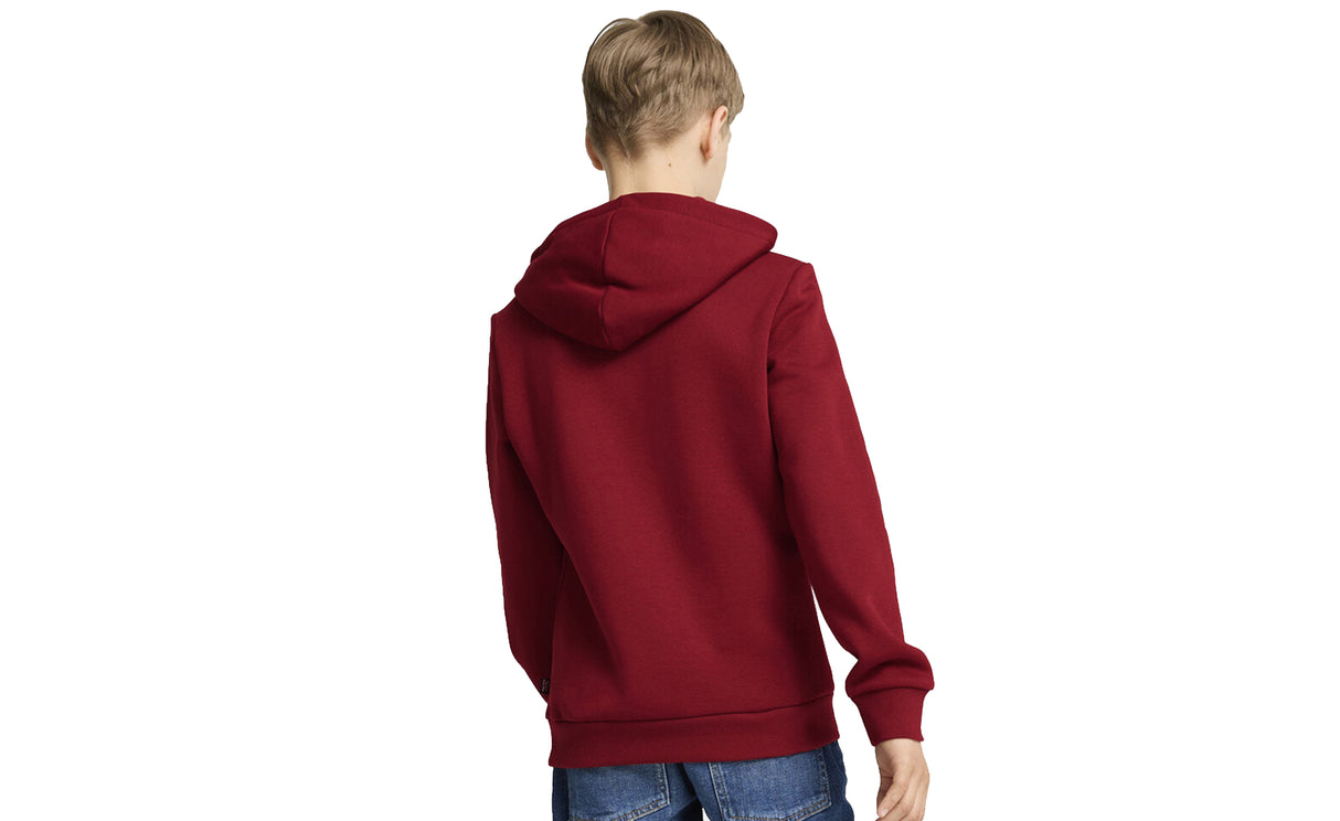 ESS+2 COL BIG LOGO HOODIE FL B - View 3