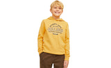 JJELOGO SWEAT HOOD 2 COL 24/25 NOOS JNR - View 2