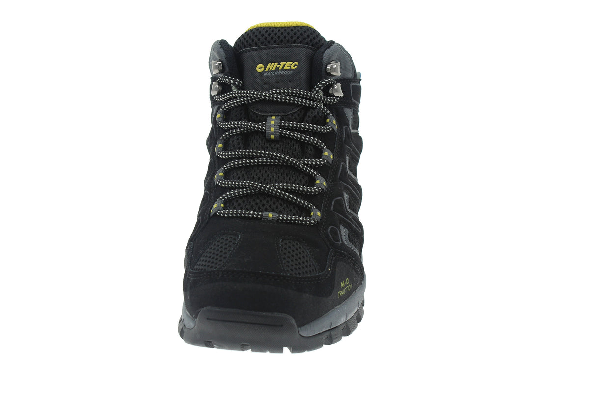 TORCA MID WP - View 3