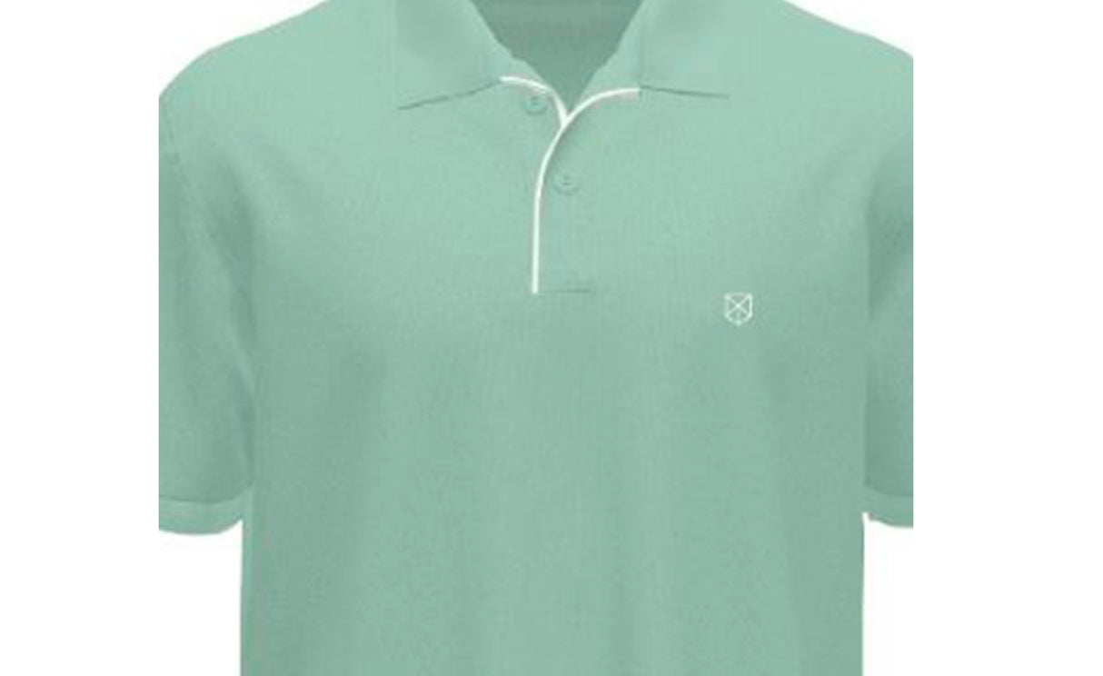 JPRBLASAINZ SS POLO - View 2