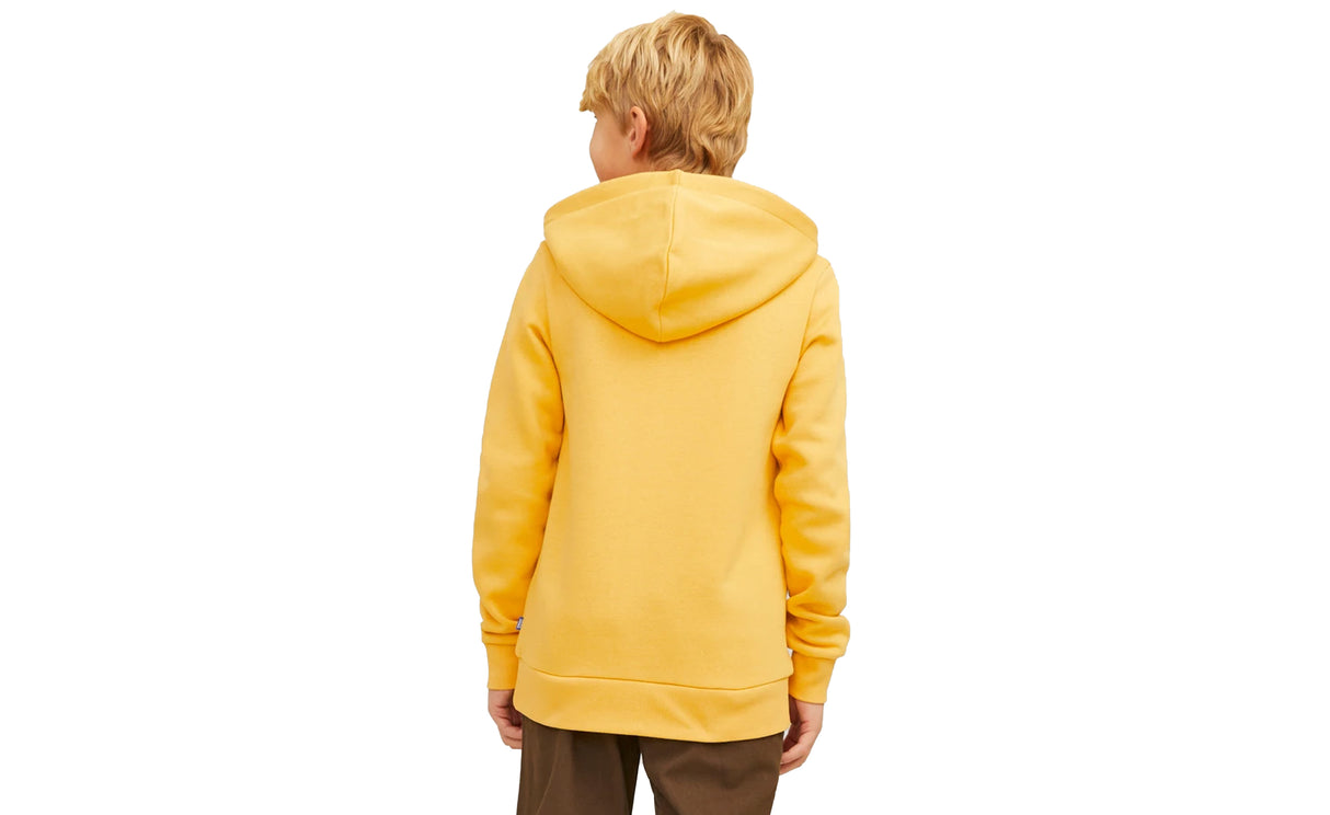 JJELOGO SWEAT HOOD 2 COL 24/25 NOOS JNR - View 3