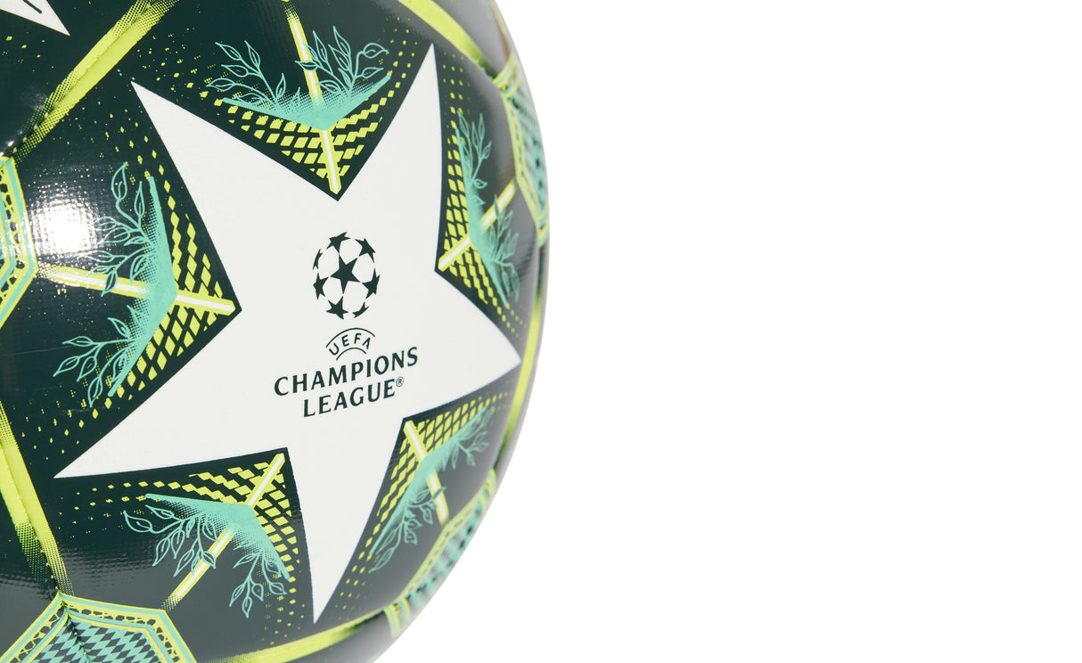 UCL TRN - View 2