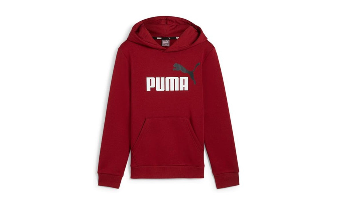 ESS+2 COL BIG LOGO HOODIE FL B - View 1