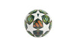 UCL MINI - View 1