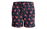 JPSTFIJI JJSWIM AOP LV SN - View 1