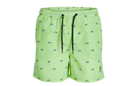 JPSTFIJI JJSWIM MINI STRIPE LY - View 1