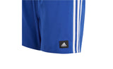 3S SHO - View 5