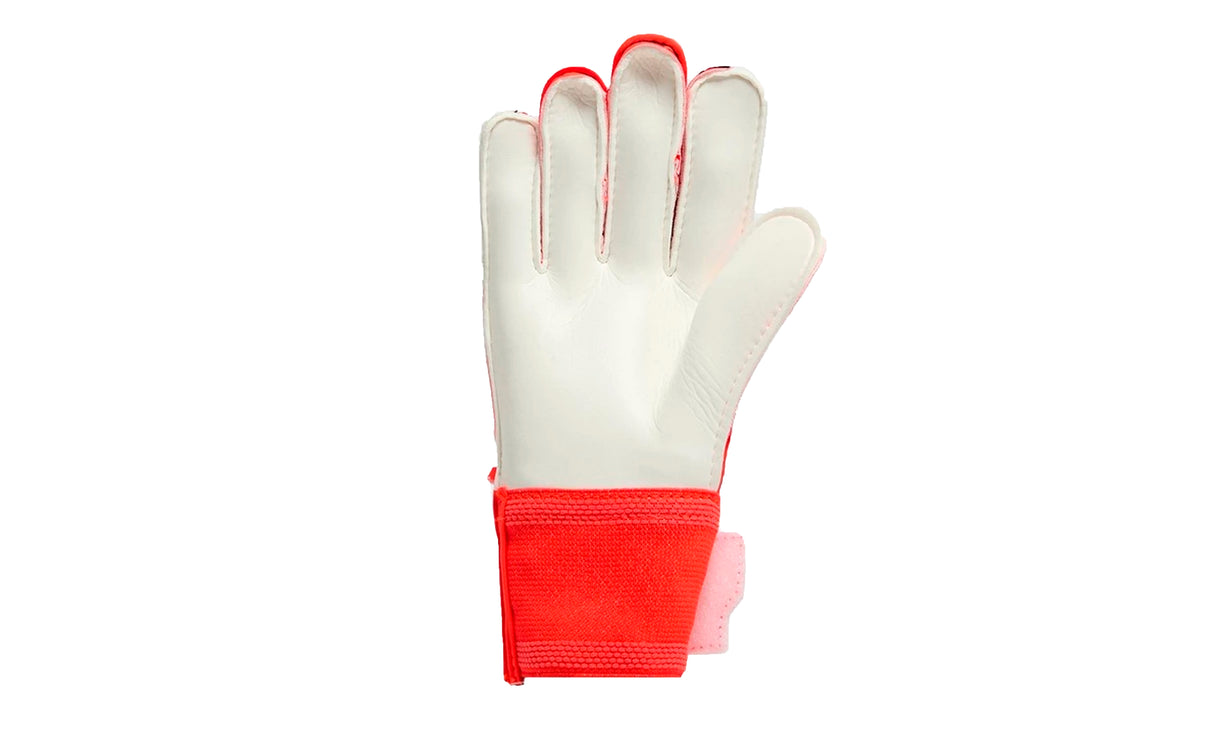 PRED GL TRN J - View 3