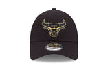 CHICAGO BULLS BLKMTG - View 4