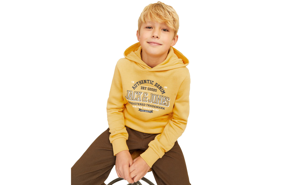 JJELOGO SWEAT HOOD 2 COL 24/25 NOOS JNR - View 4