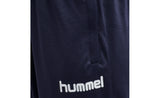 HMLPROMO FOOTBALL PANTS - View 4