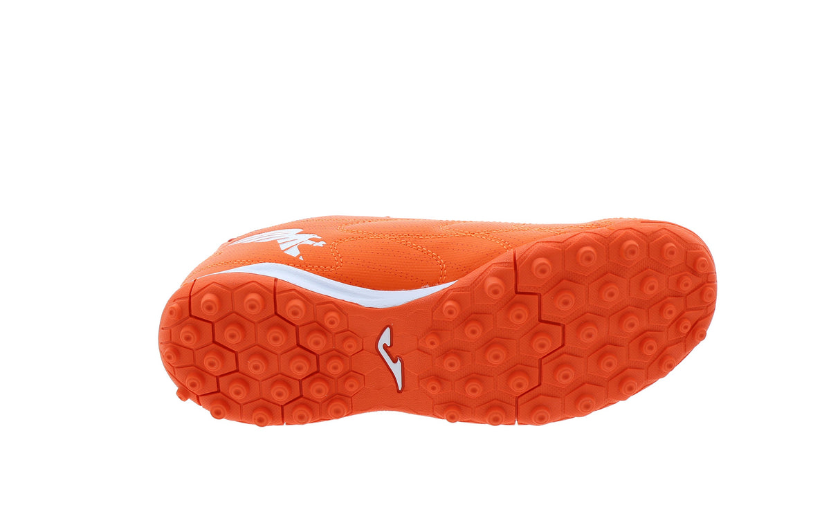 EVOLUTION JR - View 6
